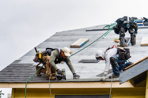 Professional Gutter Installation technician working in Allred, TN